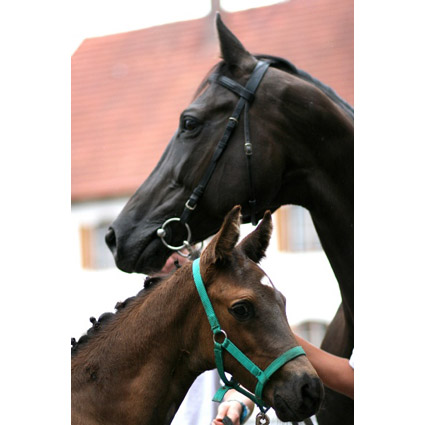 Foto: Manfred Baumeister