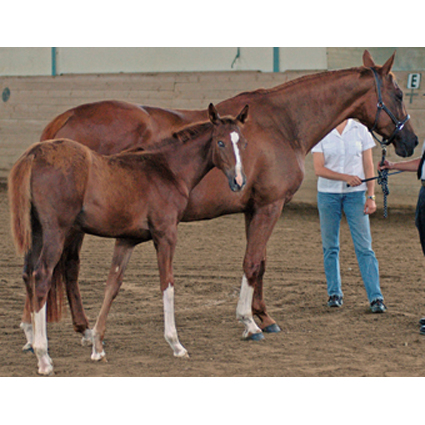 Foto:&nbsp;Martin Seitz