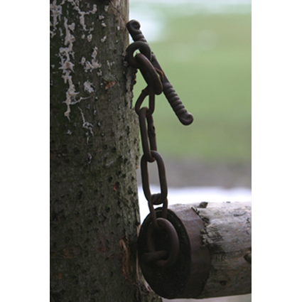 Foto:&nbsp;Johannes Dziemballa