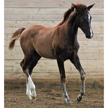 Foto:&nbsp;Martin Seitz